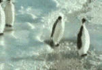 eux